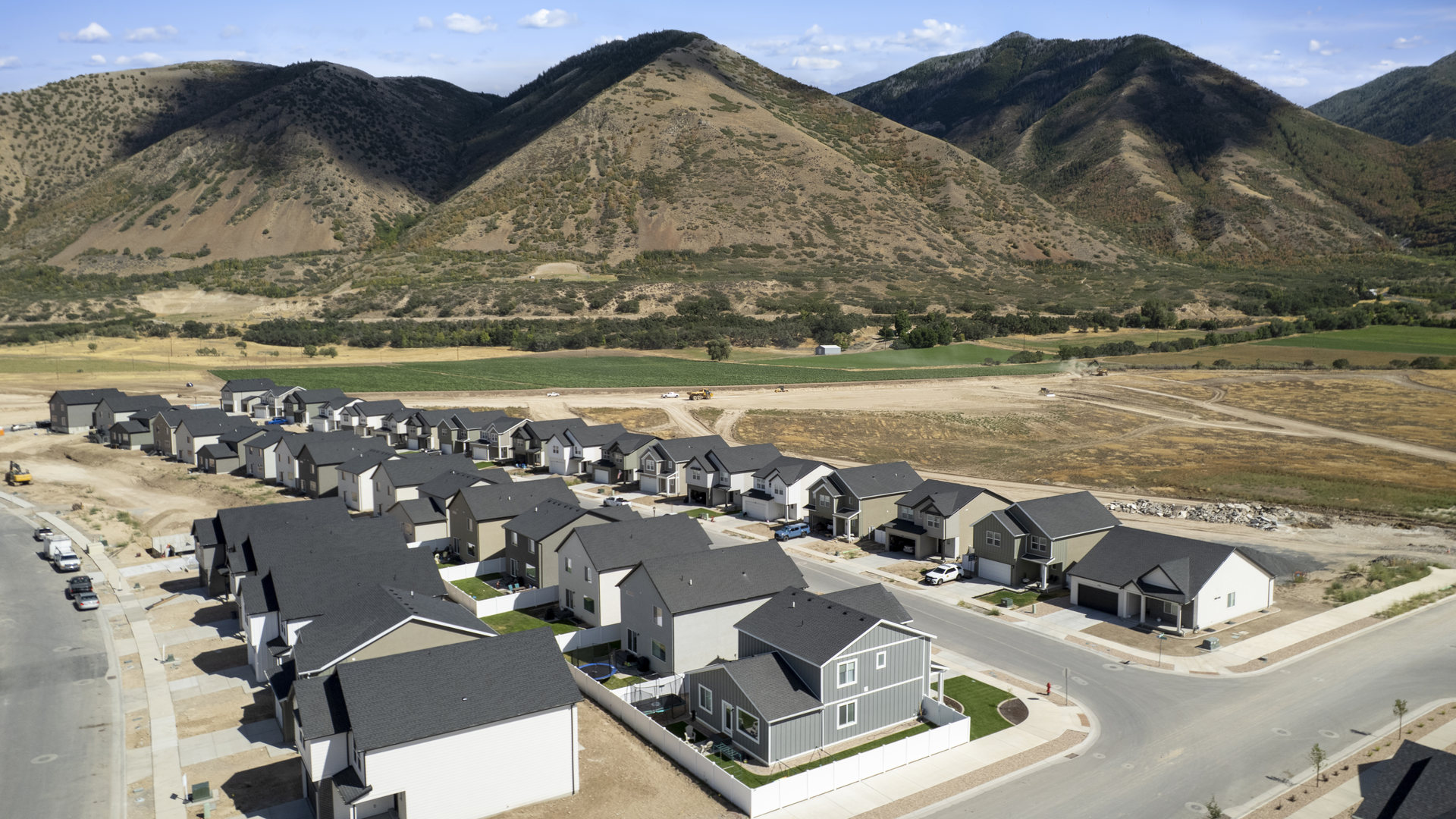 Viridian aerials August