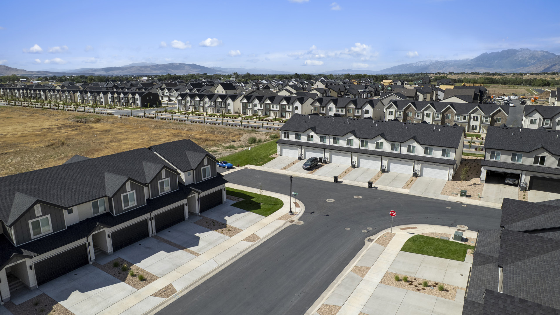 Viridian aerials August
