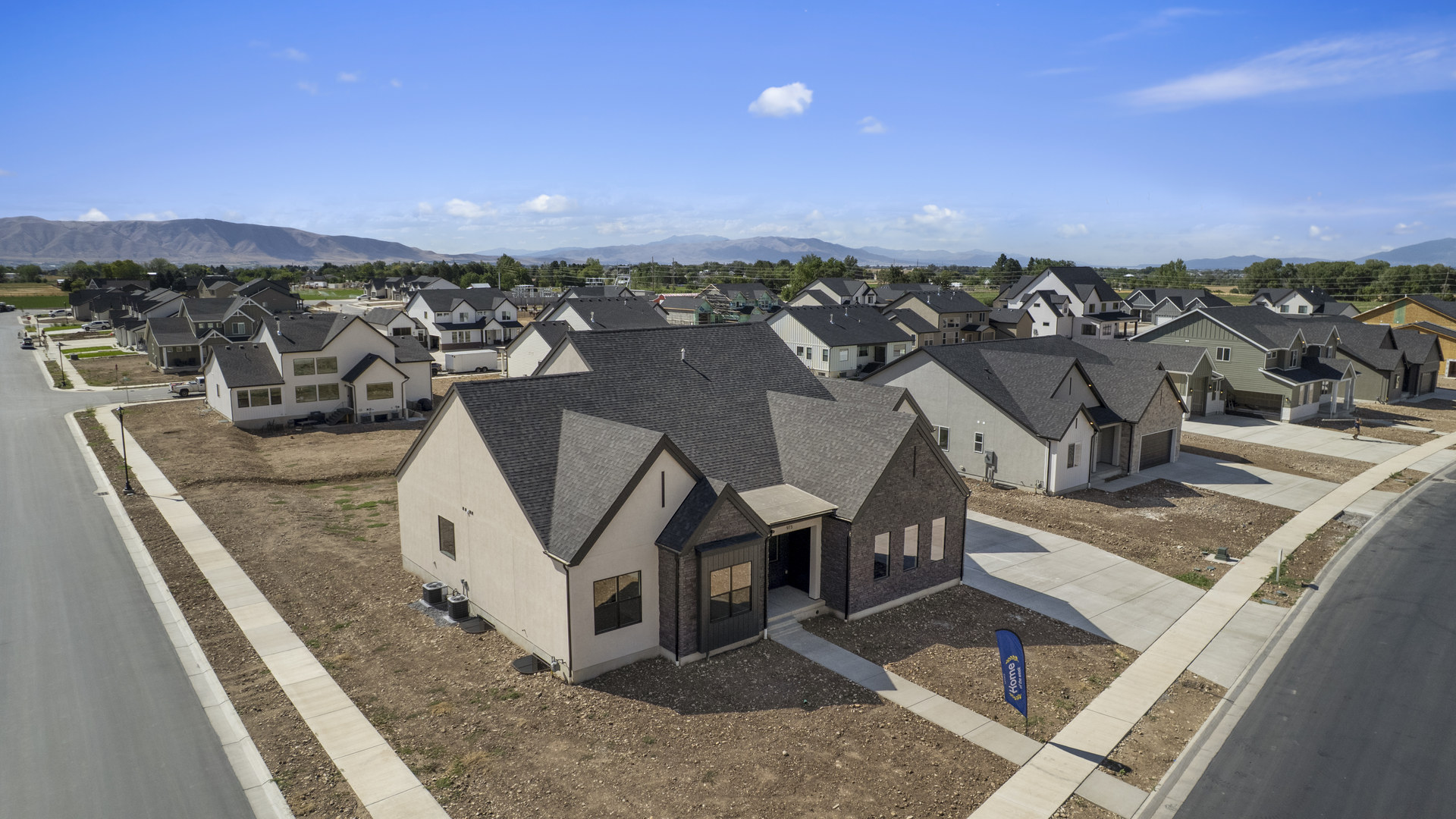 Viridian aerials August