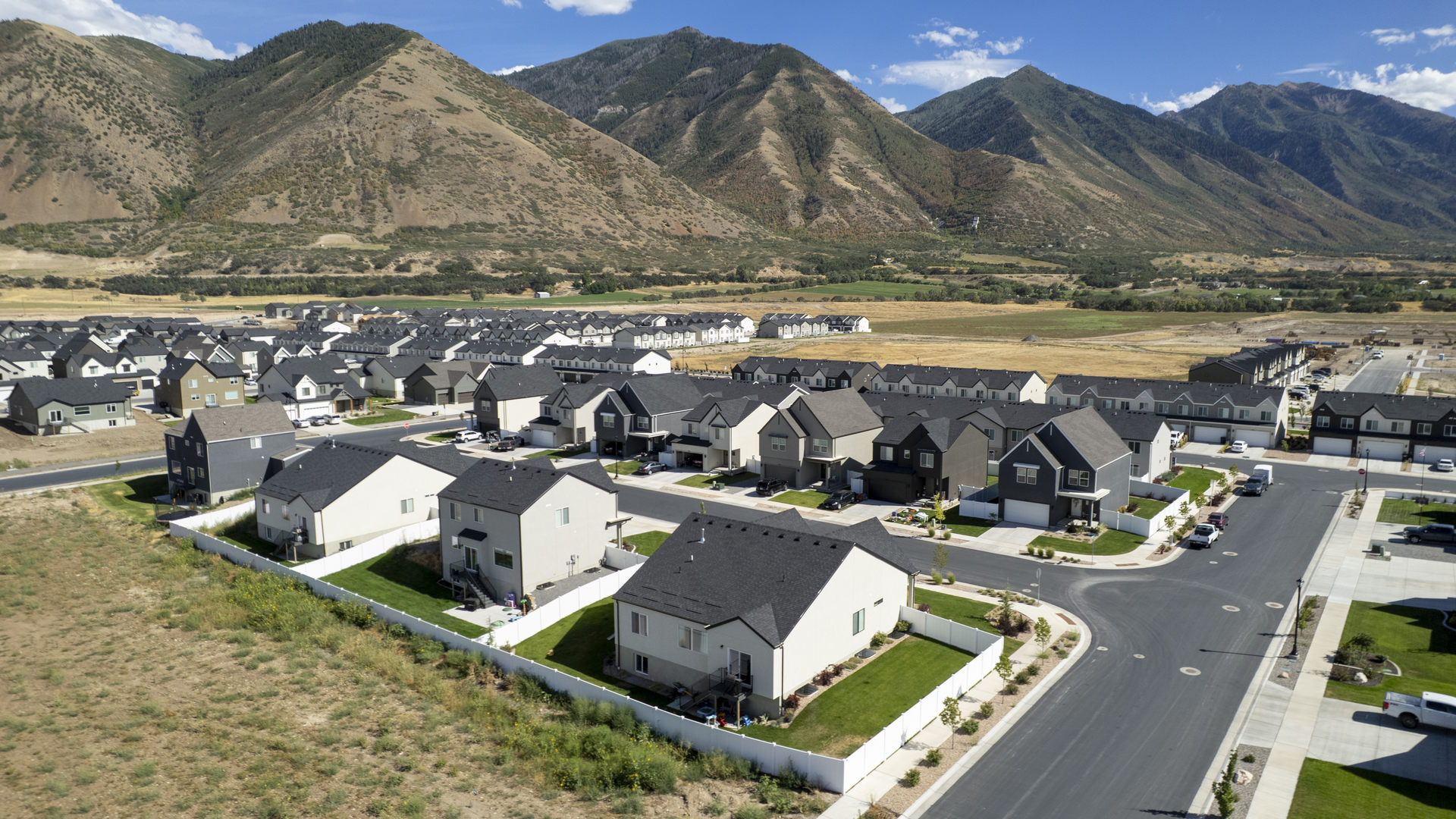 Viridian aerials August