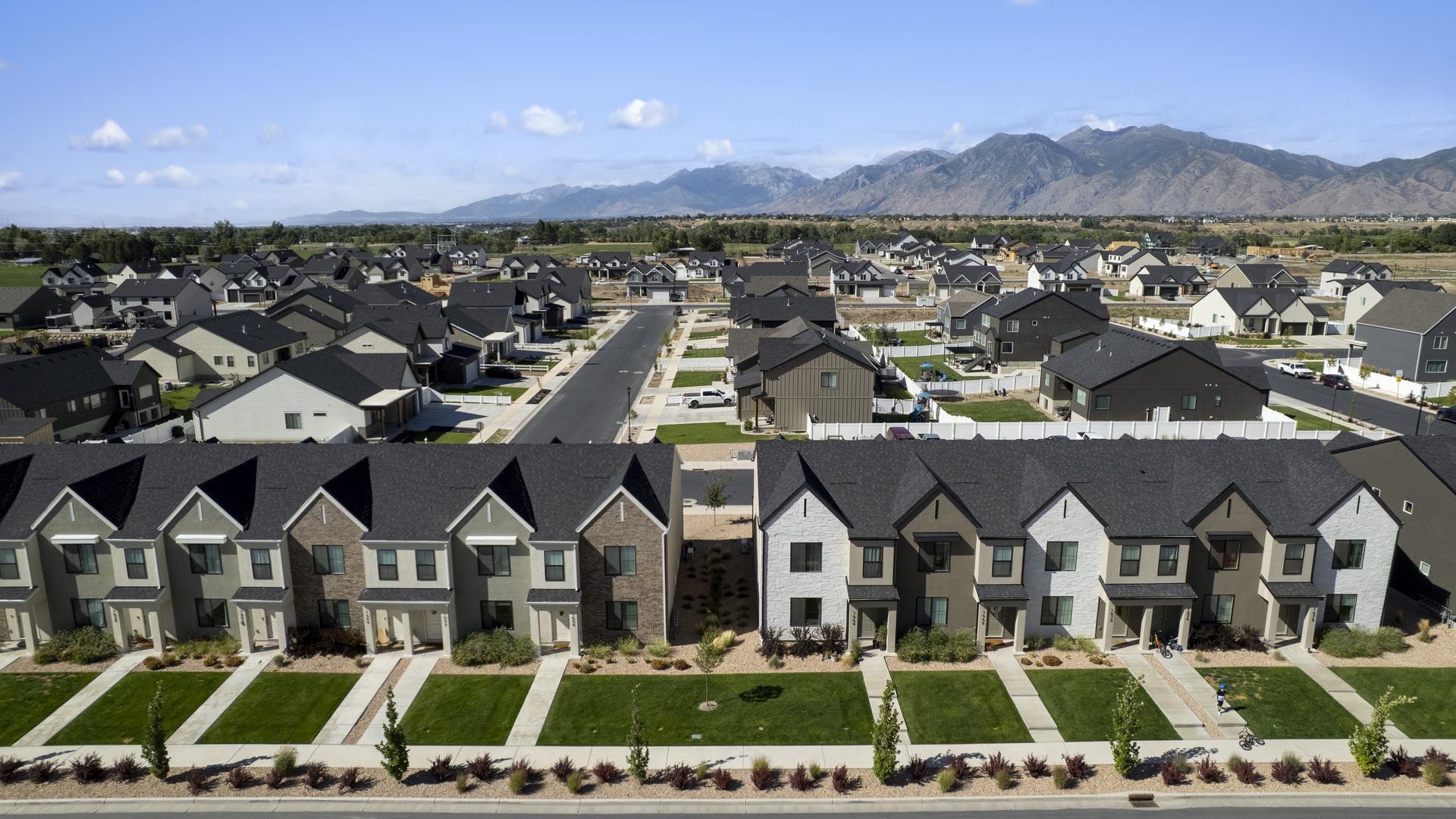 Viridian aerials August