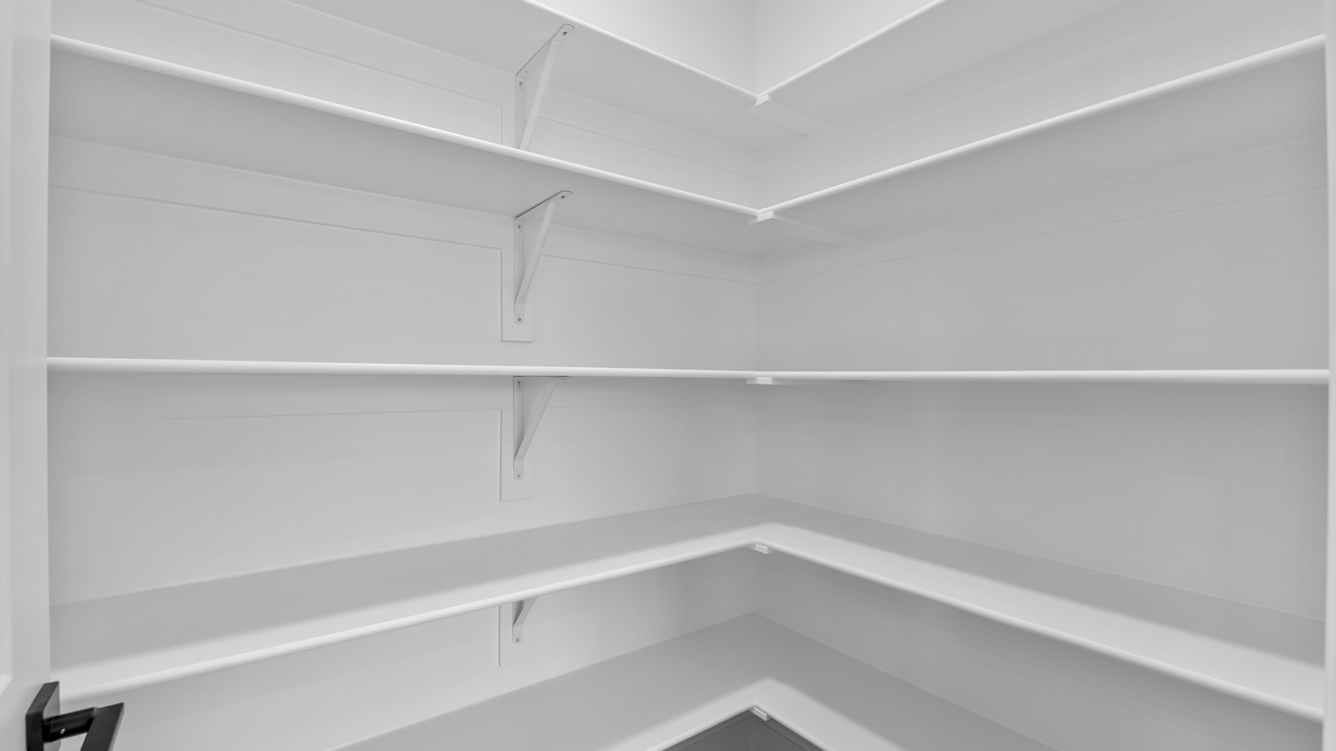 Large pantry with shelving