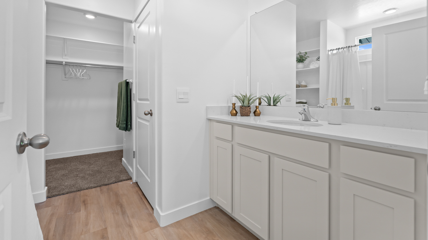 Primary bathroom with vanity.