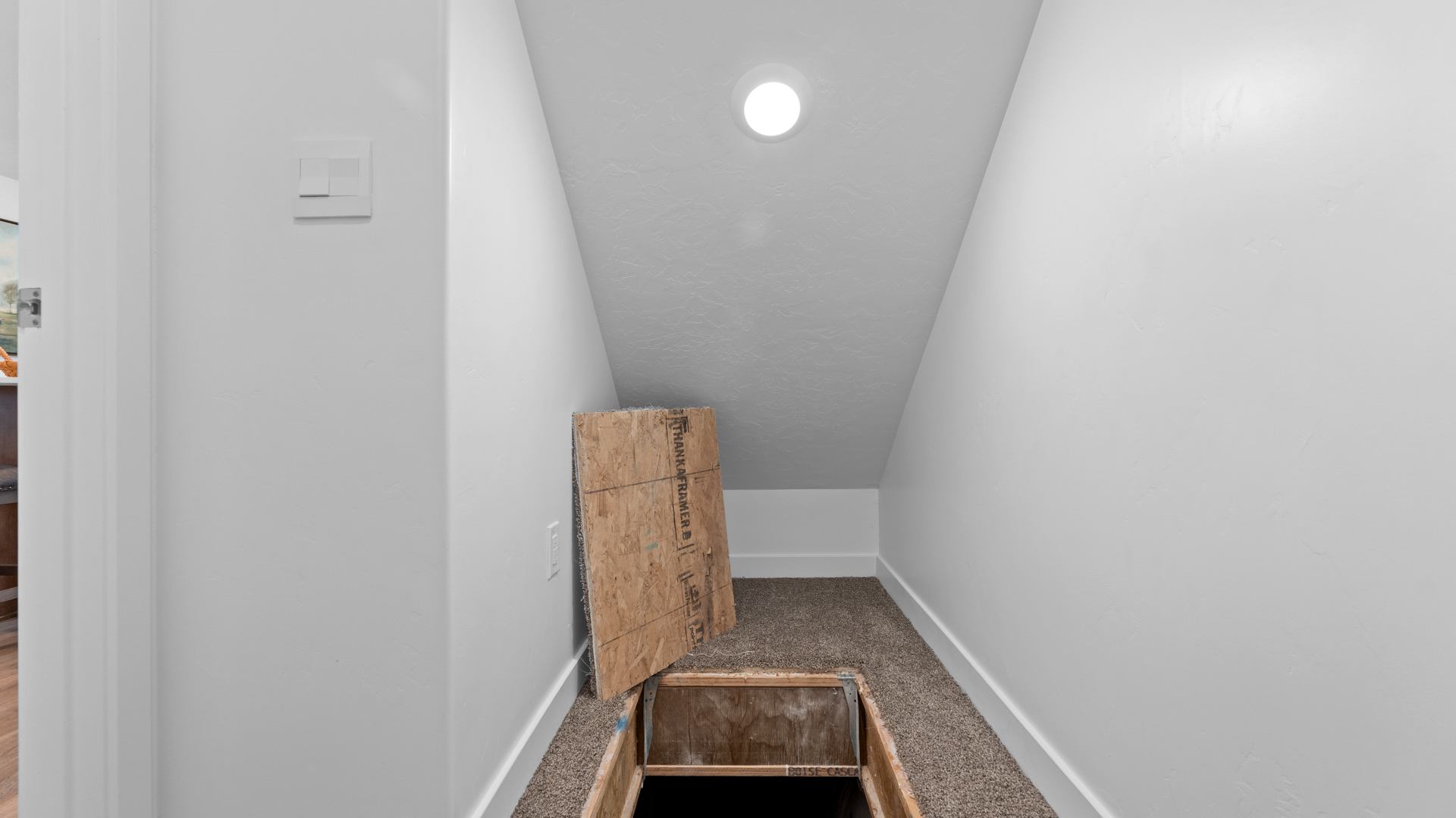 Storage under stairs.