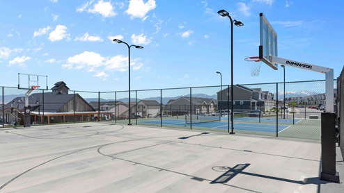 basketball amenity