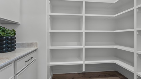 Walk-in pantry.