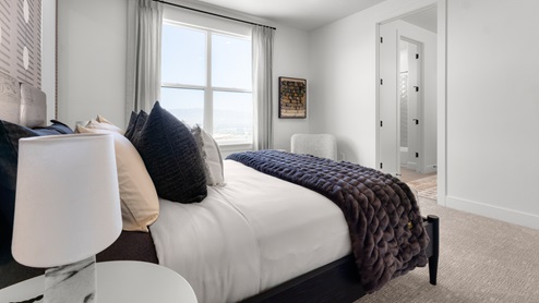 Bedroom with large window and open walk-in closet.