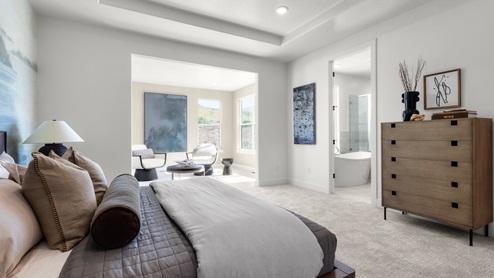 Primary bedroom with large window and tray ceilings.