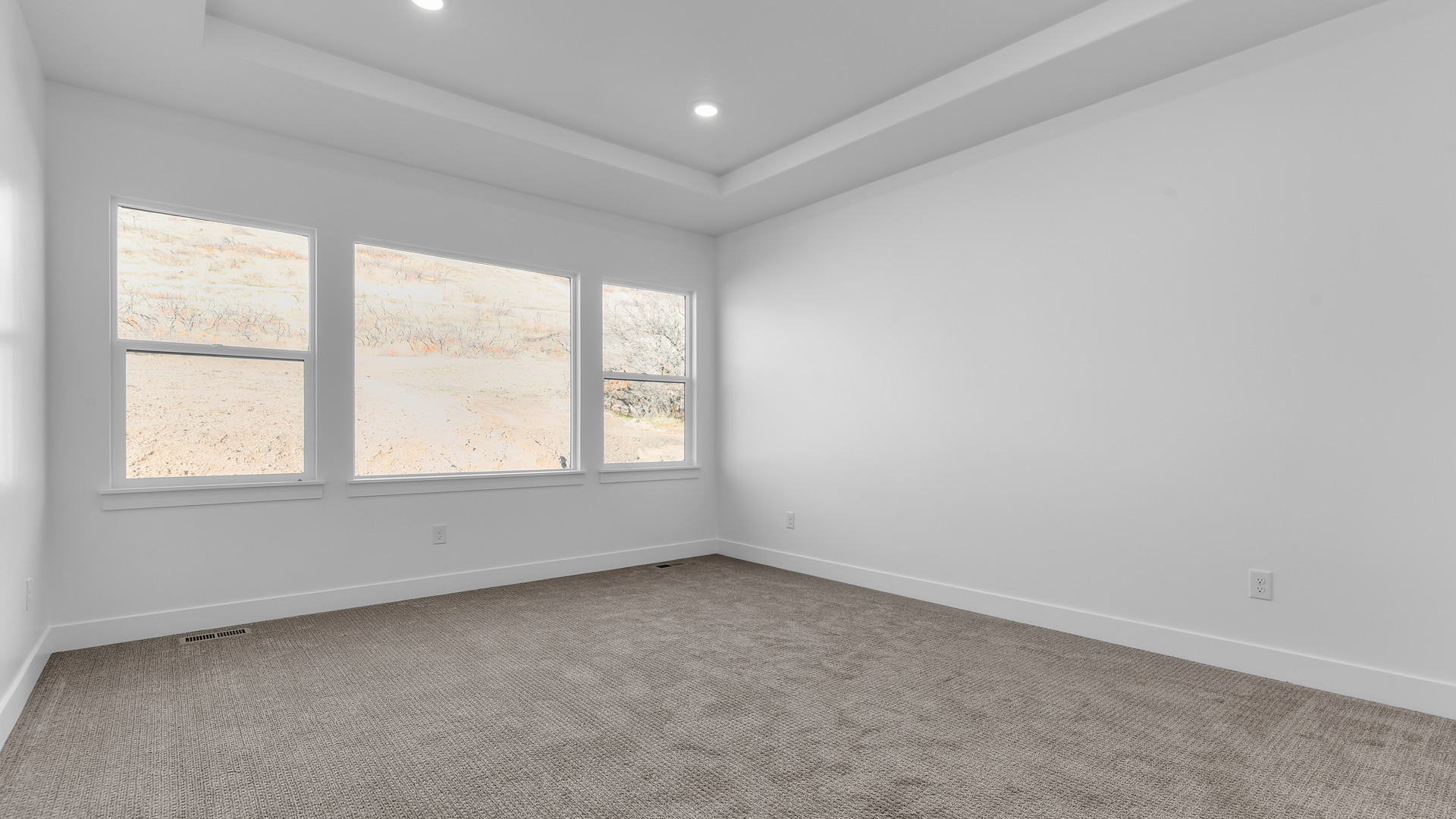 Primary bedroom with tray ceiling and large windows.