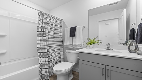 Full sized bathroom with light grey cabinets, quartz countertops, toilet and tub shower combination.