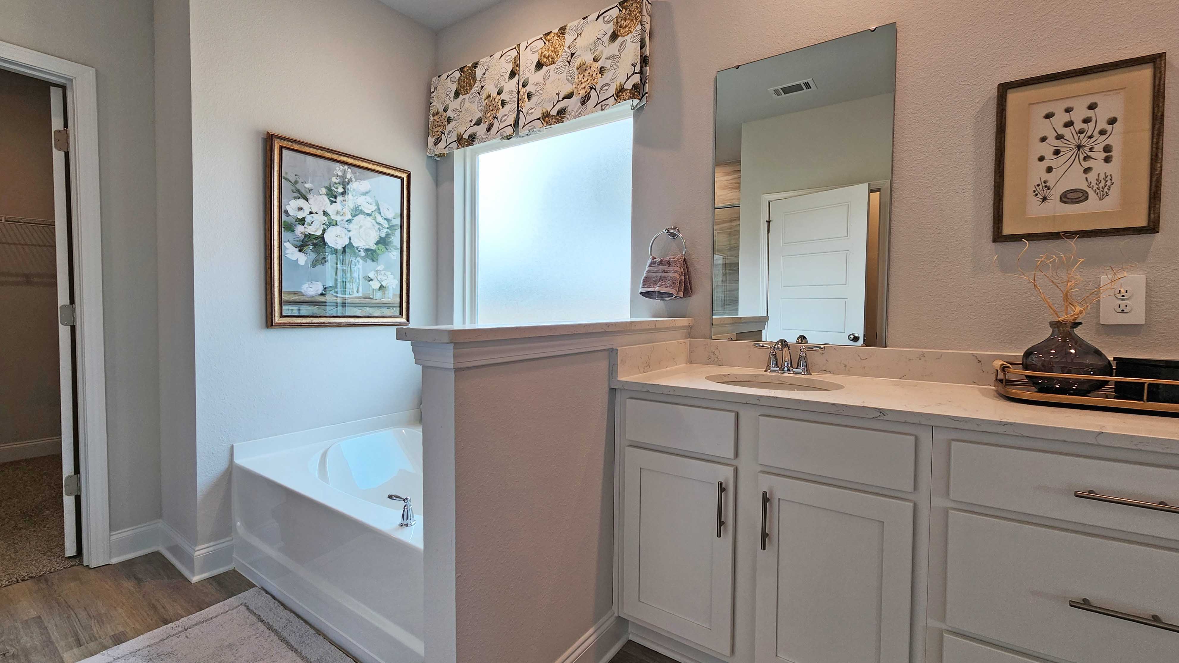 Soaking tub with bright walk in shower