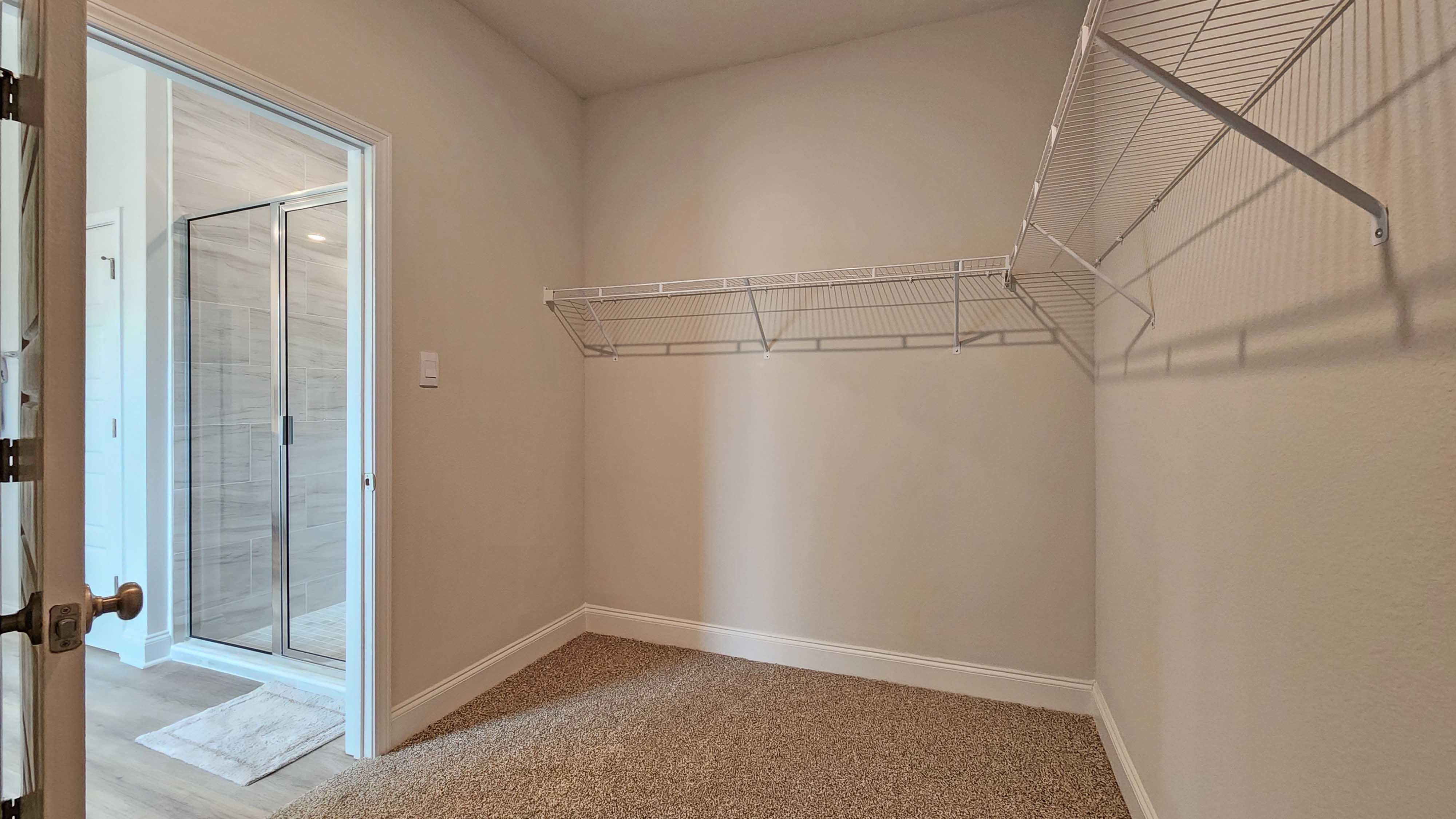 Luxurious primary closet