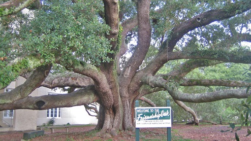 Historical Friendship Oak on Hwy 90 in Long Beach.