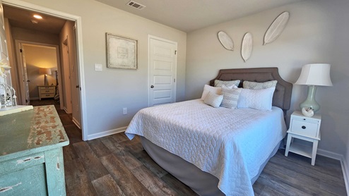 Aria bedroom with closet.