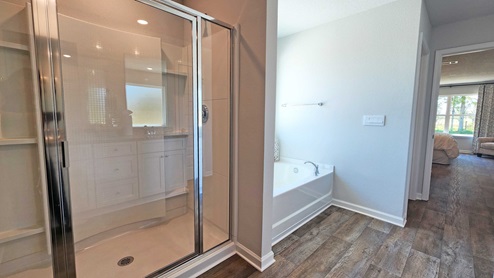Primary bathroom with standing shower and garden tub.