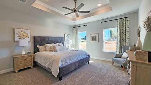 Primary bedroom with trey ceiling and windows.
