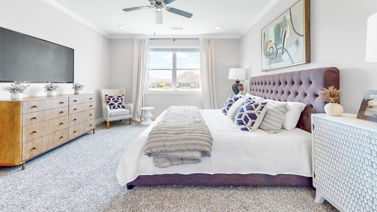 Primary bedroom featuring plush carpet and abundant natural light