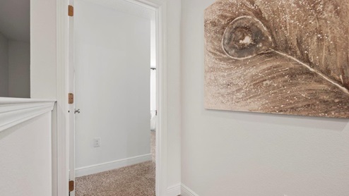 Buckhead Model