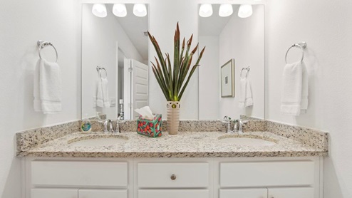 Buckhead Model