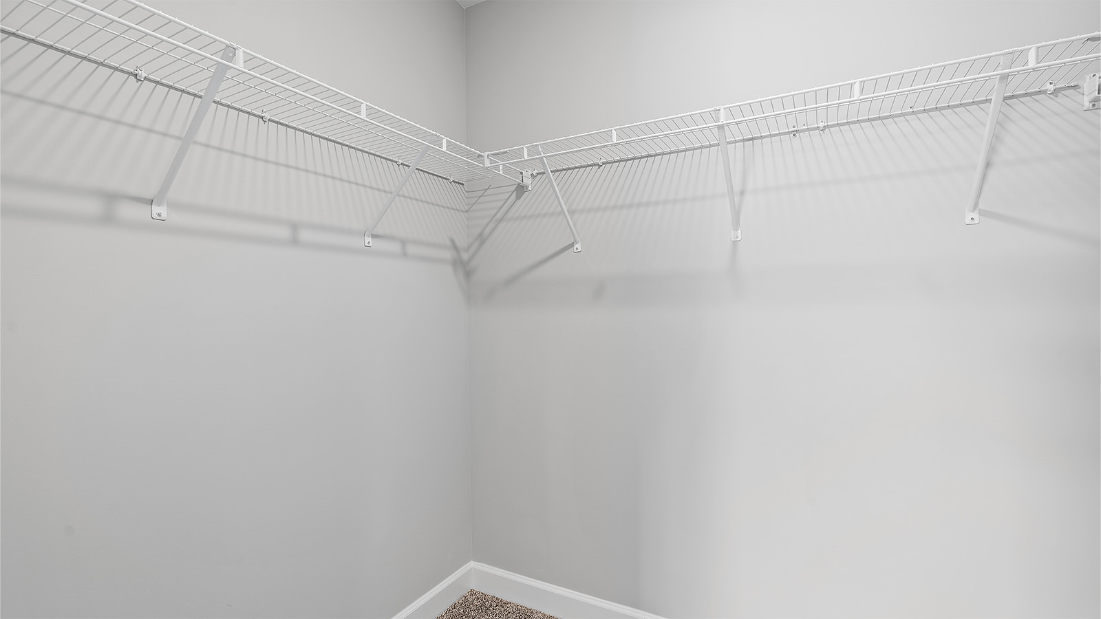 The Delilah Floorplan