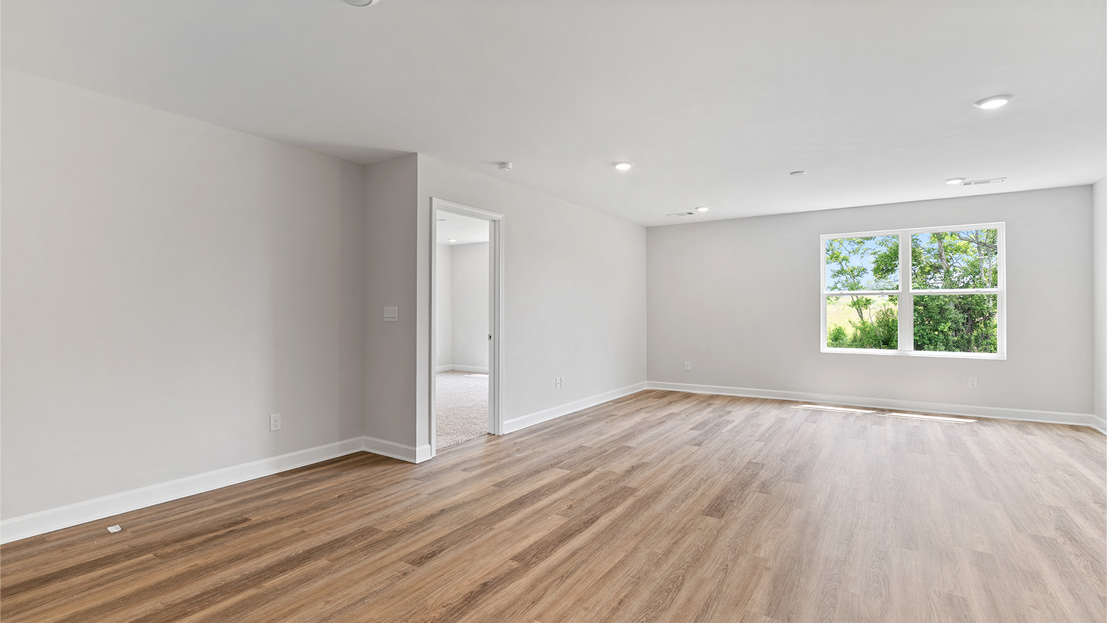 luxury vinyl plan flooring, natural light