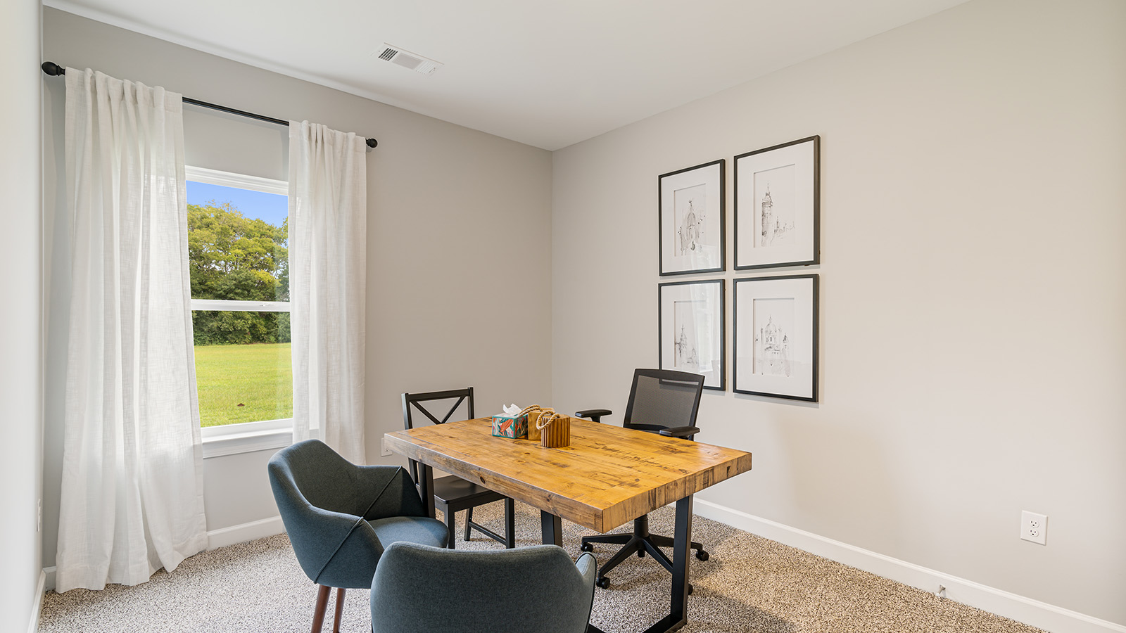 Mohawk carpeted bedrooms, natural lighting, new construction home