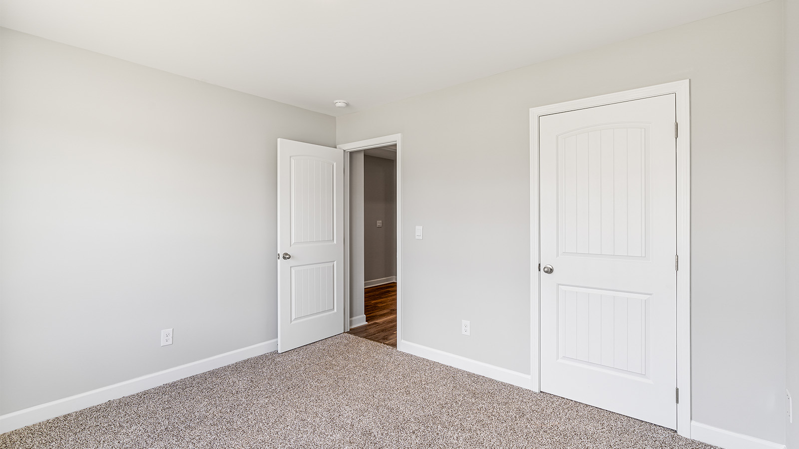 Primary bedroom featuring plush carpet and abundant natural light