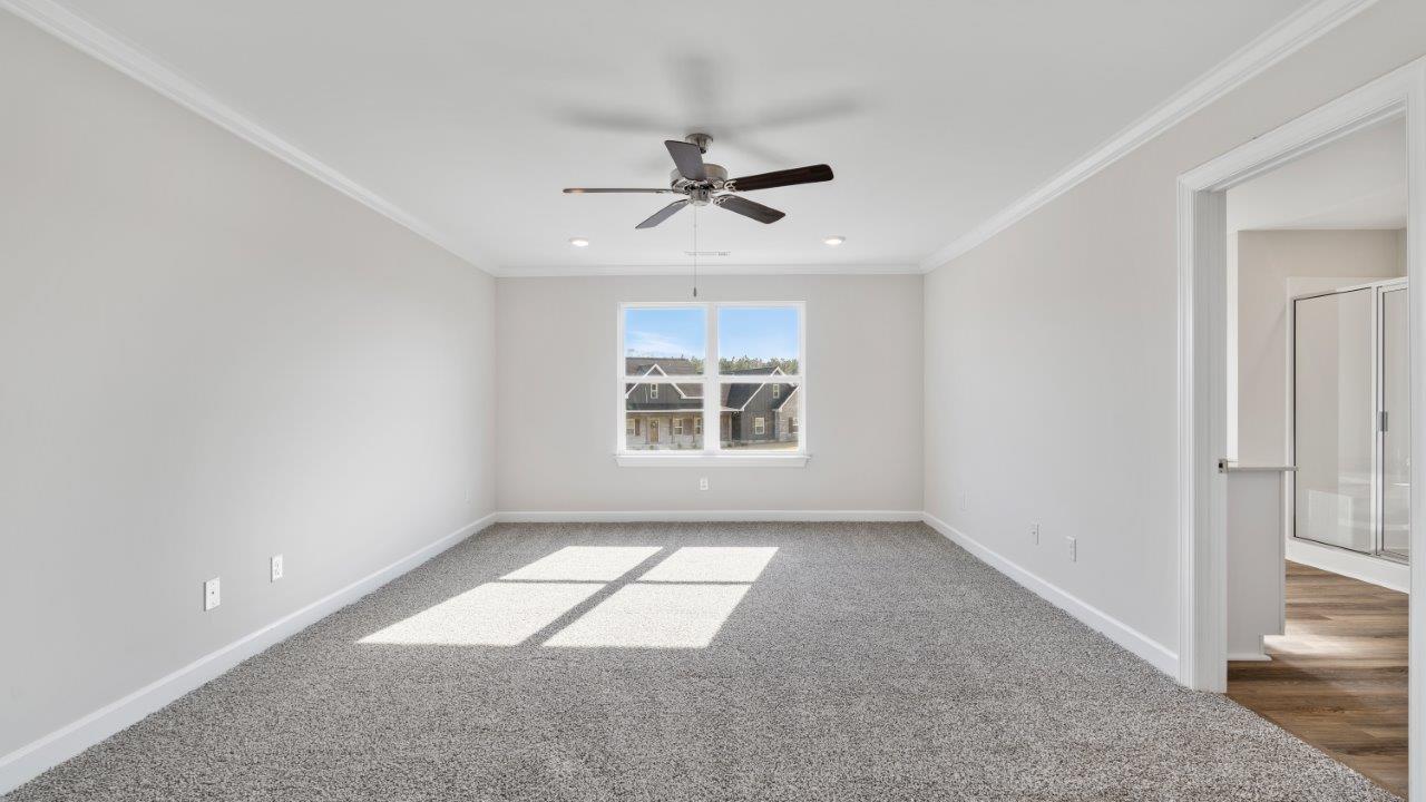 Carol interior photos