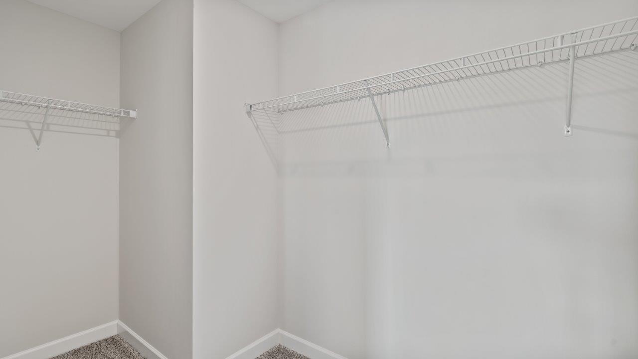 Carol interior photos