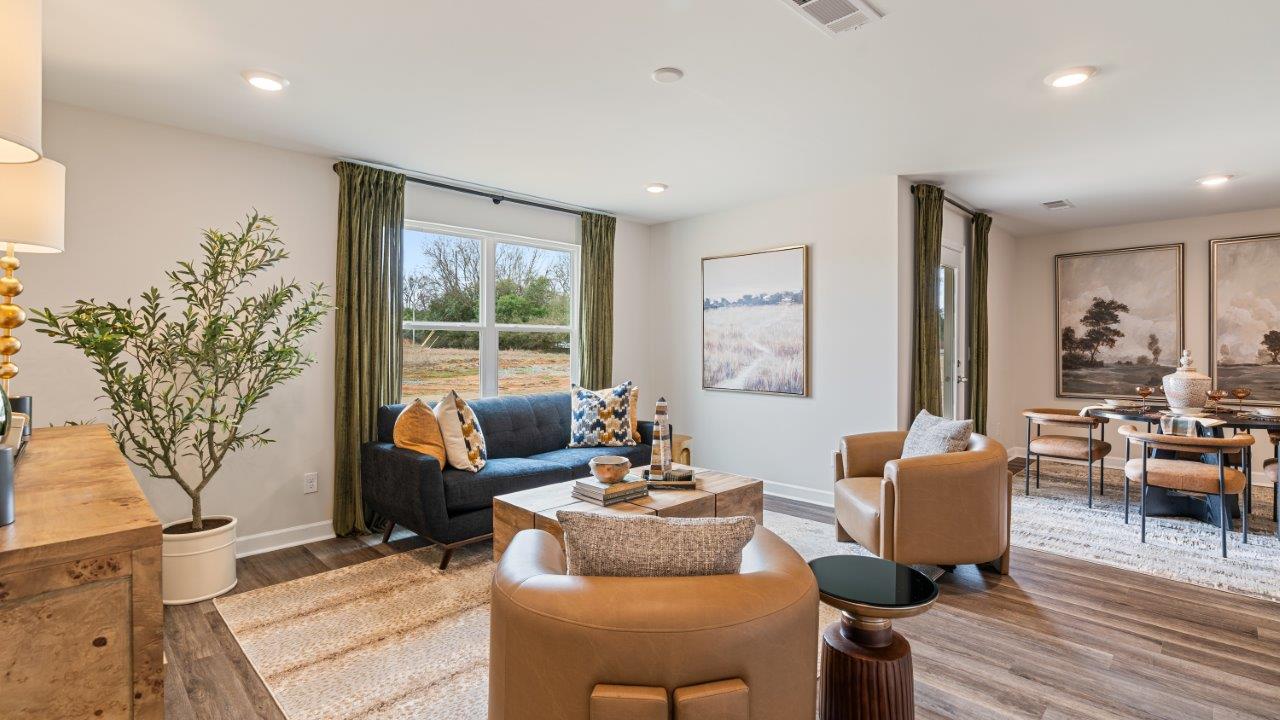 luxury vinyl plan flooring, natural light