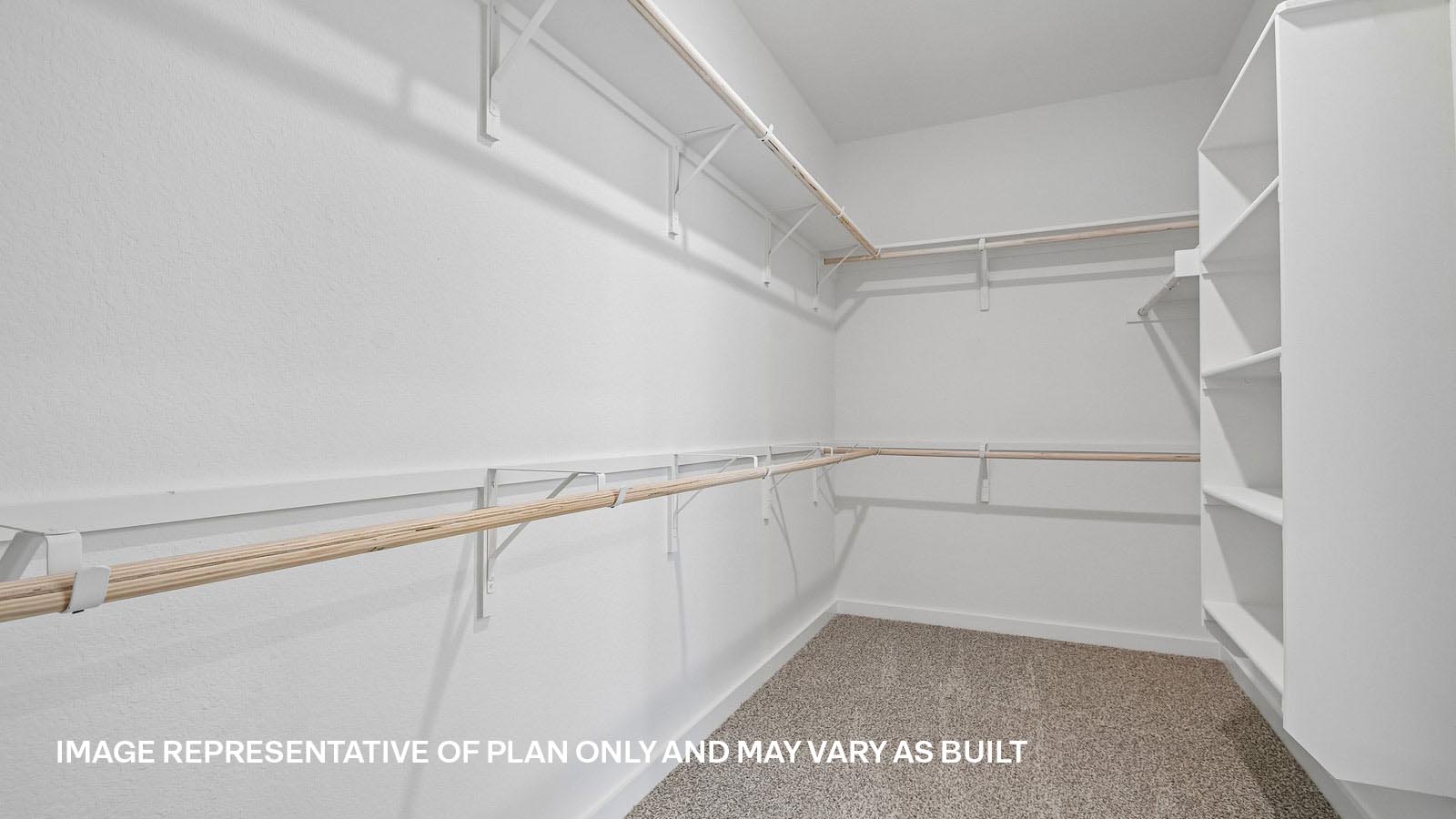 Homer Primary Walk-in Shower