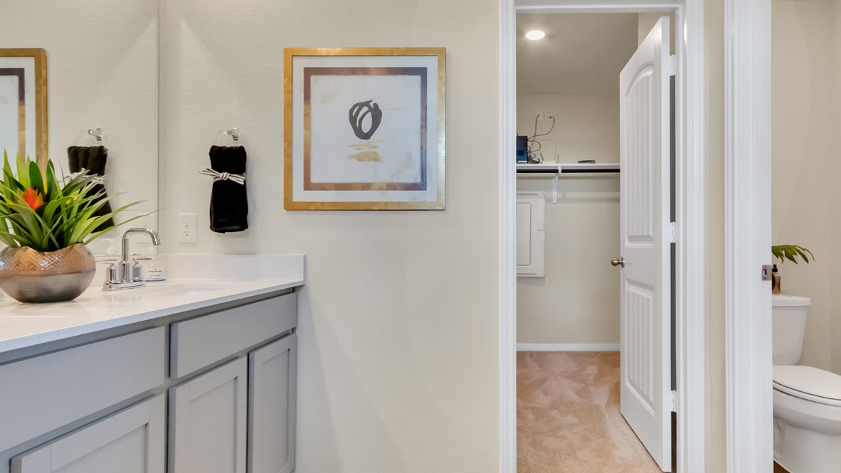 Owner’s ensuite in a new build home offers function and style with a walk-in closet, spa-like ensuite