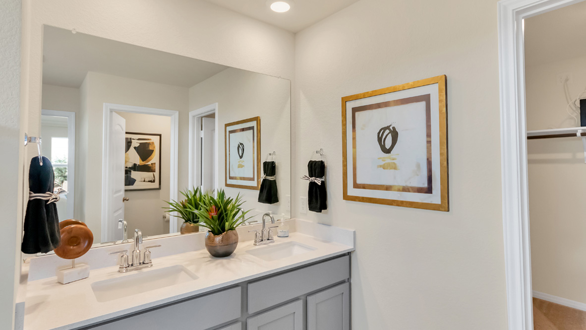 New home showcases a spa-inspired ensuite, quality stylish upgrades, open designs, shower-tub, and walk-in closet