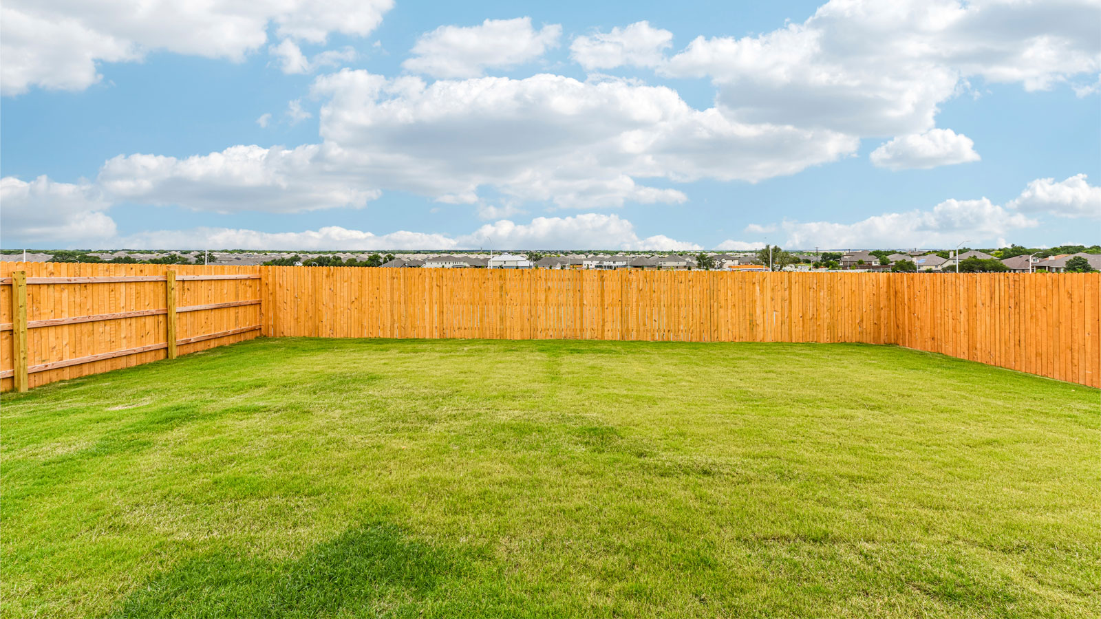 Spacious Backyard