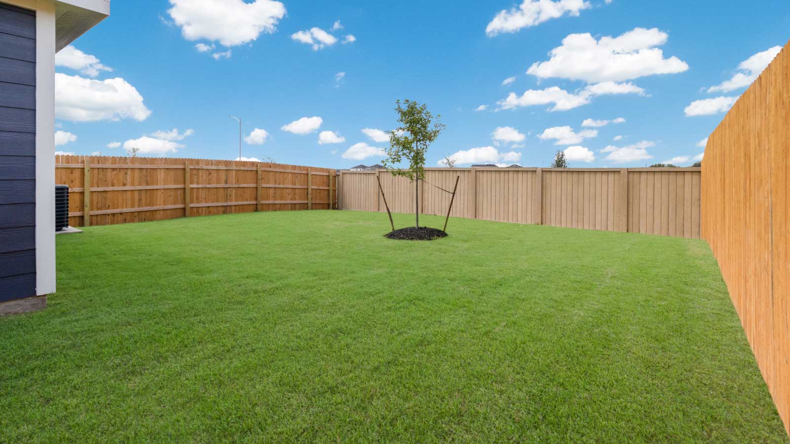 Backyard with a wooden fence and green grass.