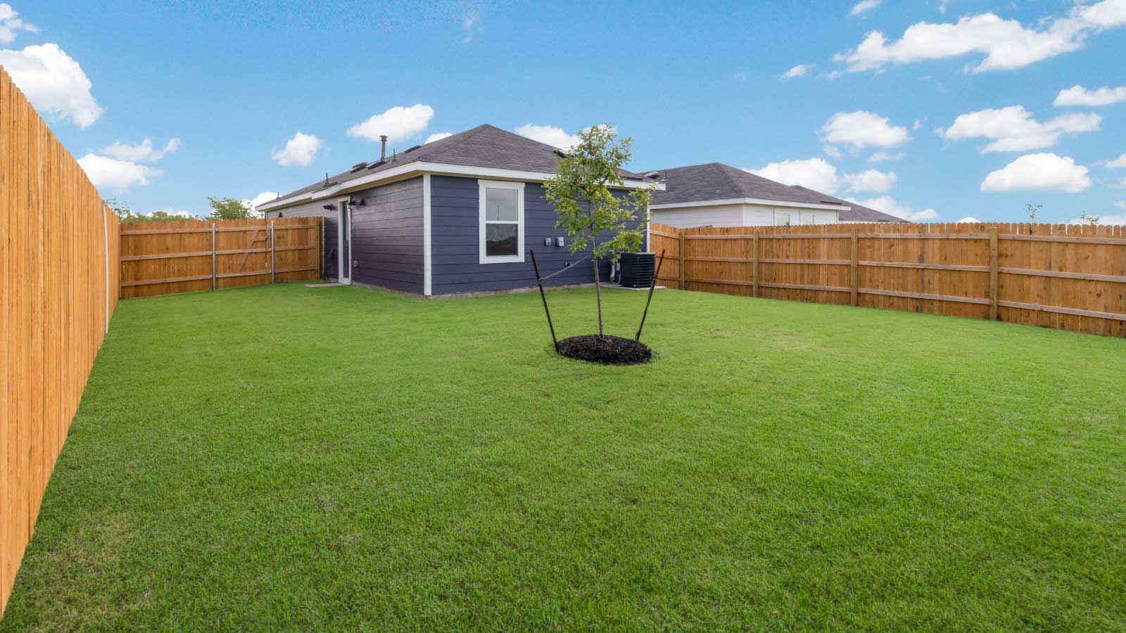 Backyard with a wooden fence and green grass.