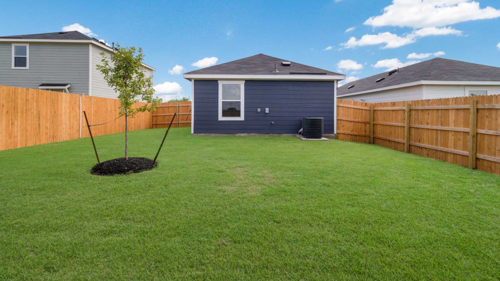 Backyard with a wooden fence and green grass.