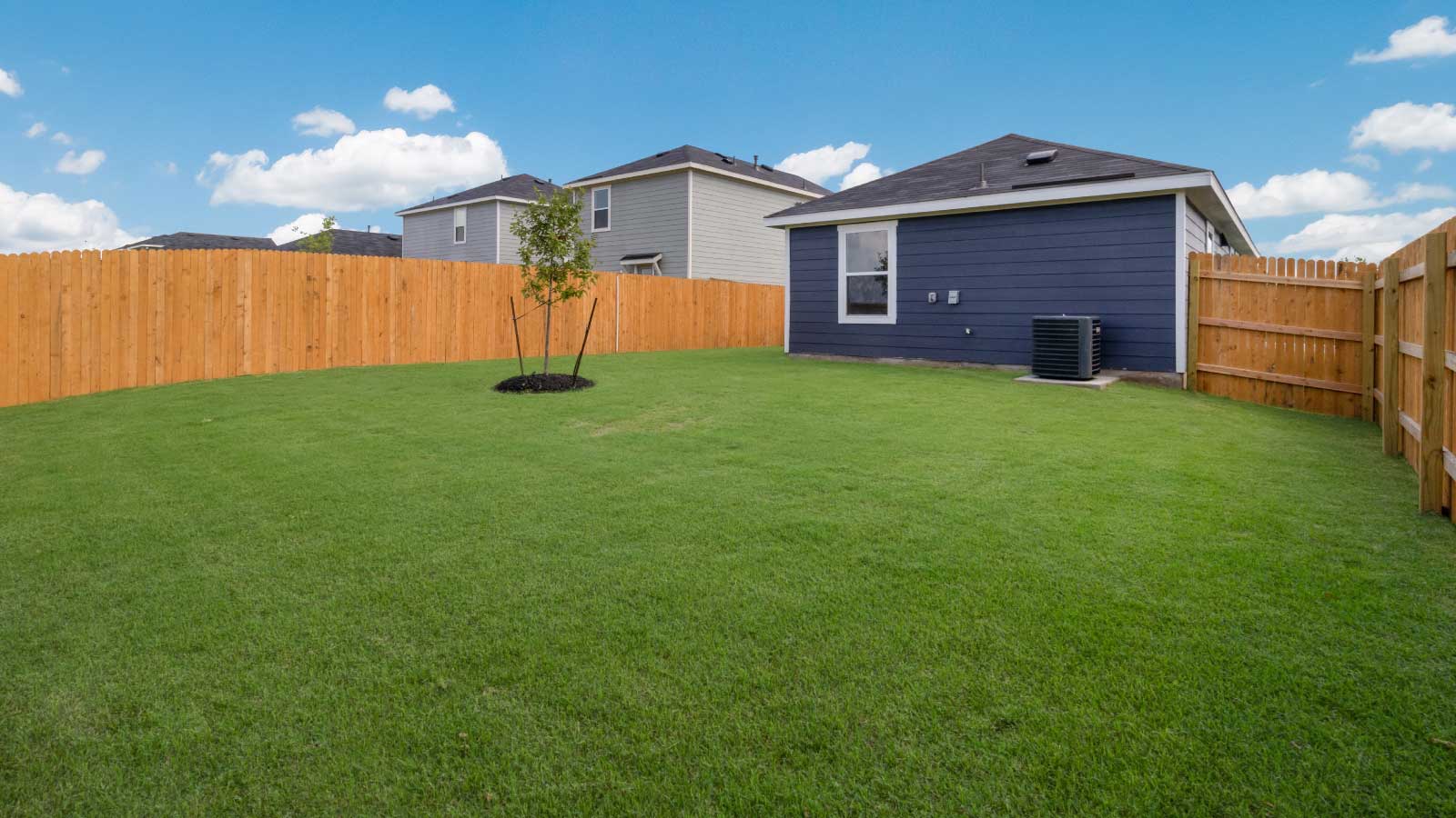 Backyard with a wooden fence and green grass.