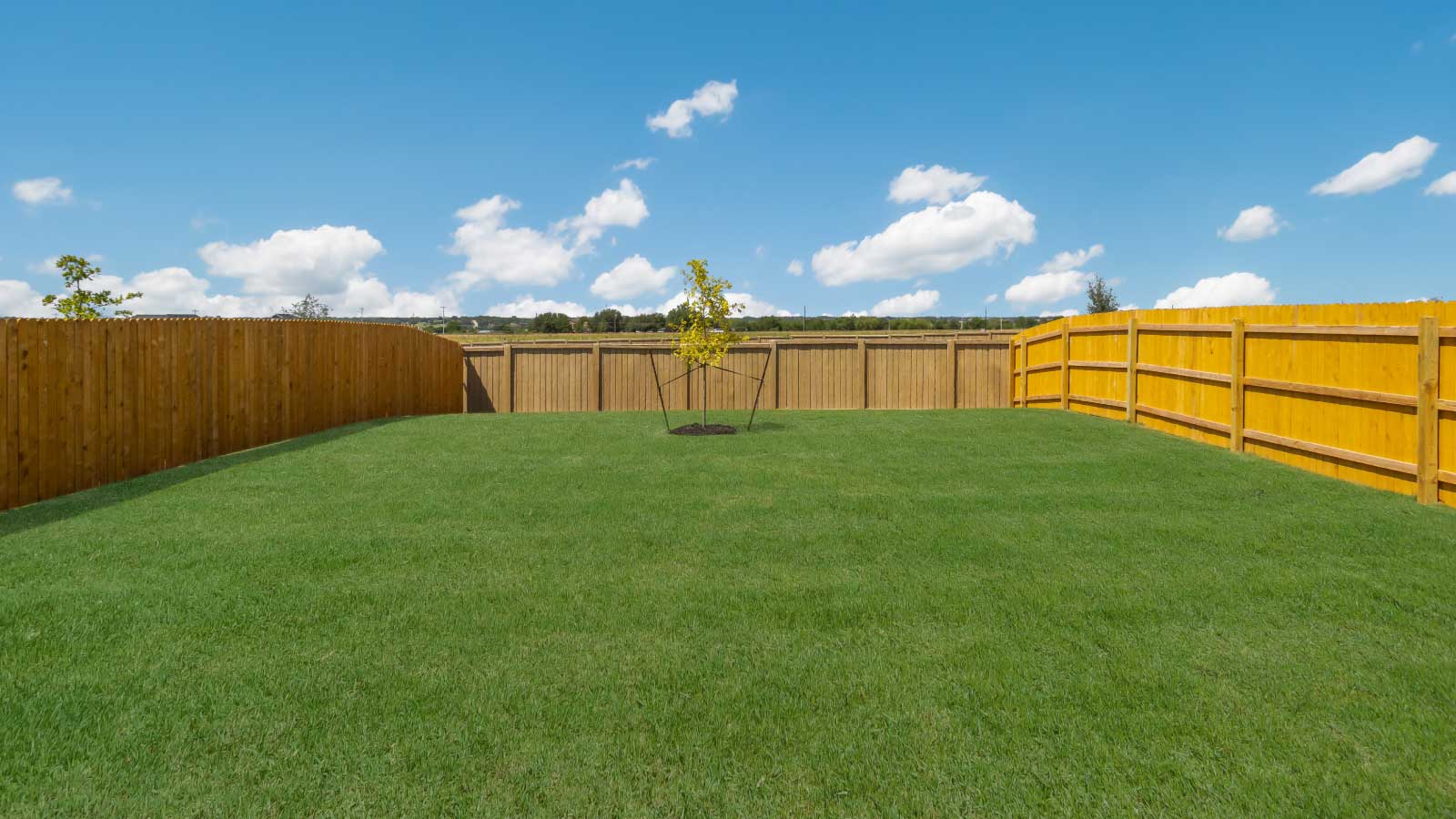 Backyard with a wooden fence and green grass.