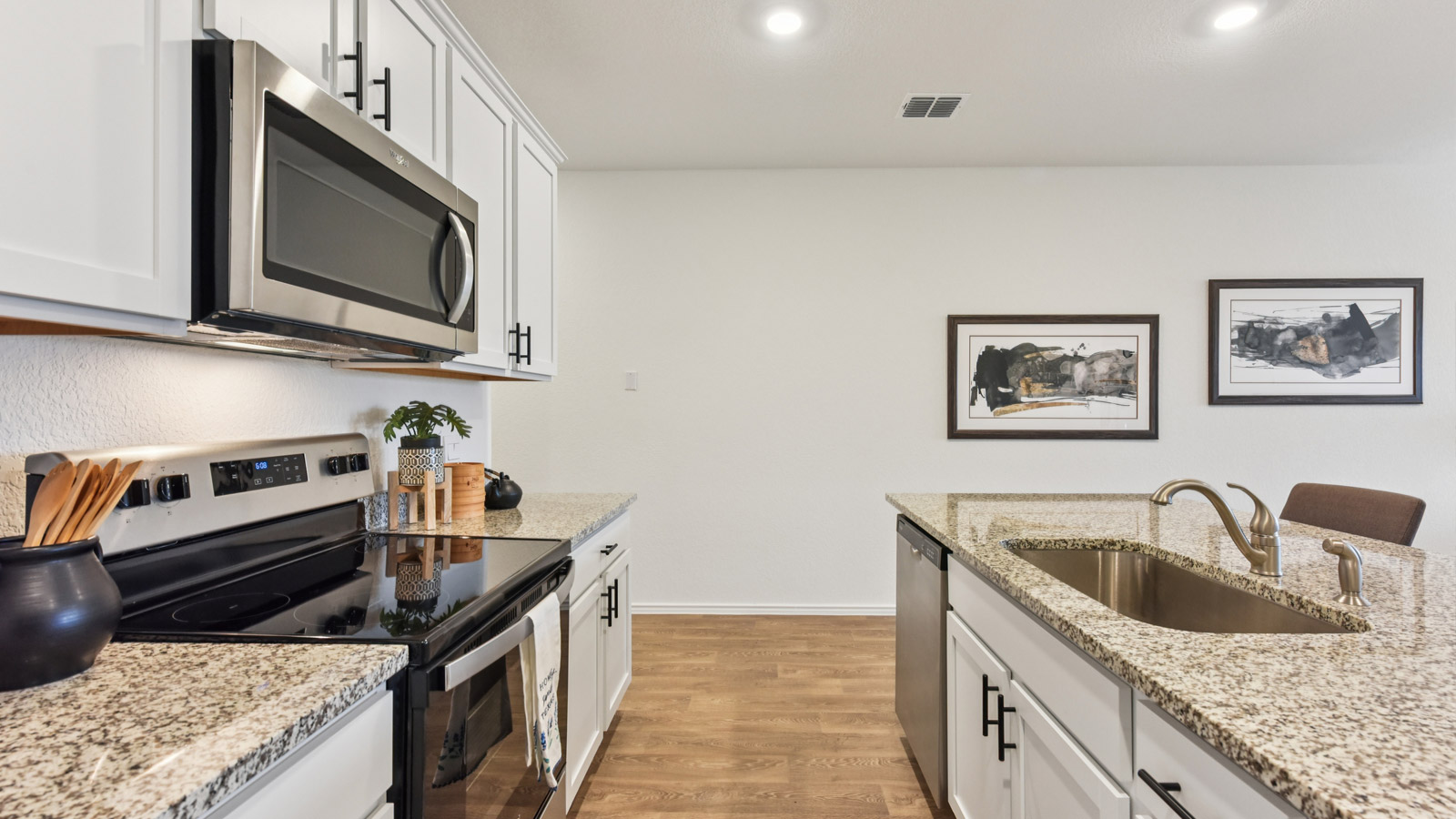 Single bowl undermount sink and stainless steel dishwasher.
