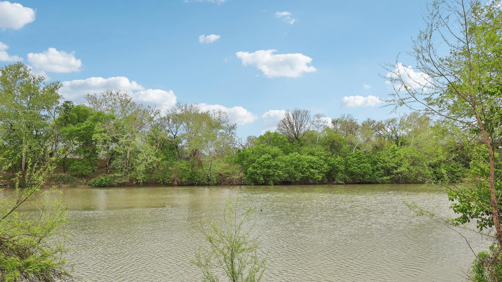 Bastrop Lake