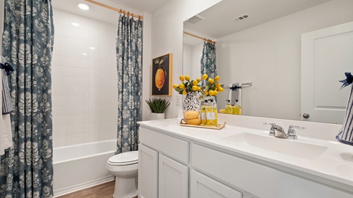 Interior bathroom with full sized shower and vanity