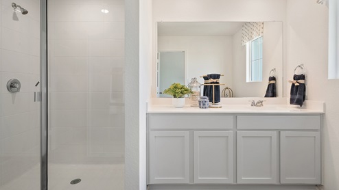 Interior bathroom with walk in shower and large vanity