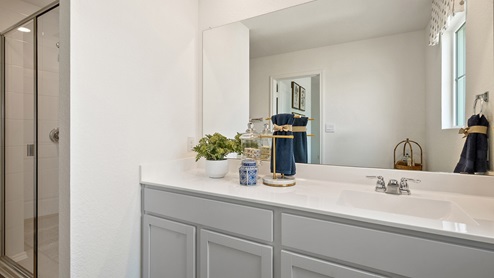 Interior bathroom with walk in shower and large vanity