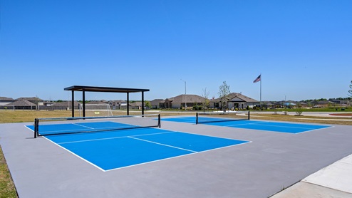 Pickleball Court