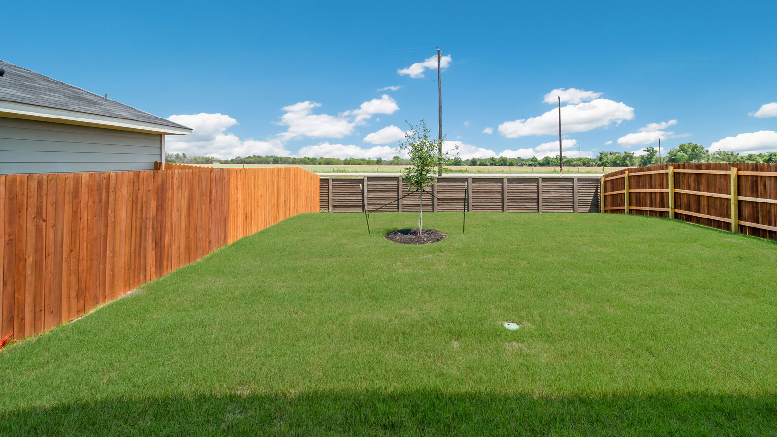 Backyard of 277 Ebbsfleet Drive with Bermuda sod and 8-foort privacy fence.