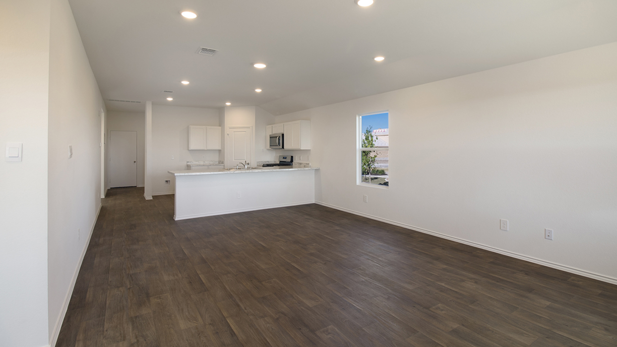 Open Concept Kitchen and Living Room
