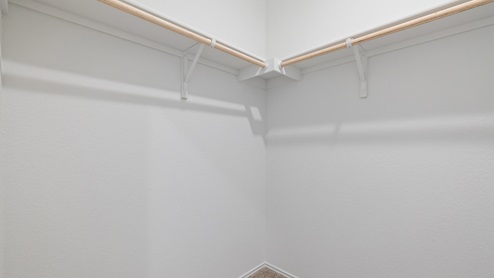 spacious closet with built in shelves
