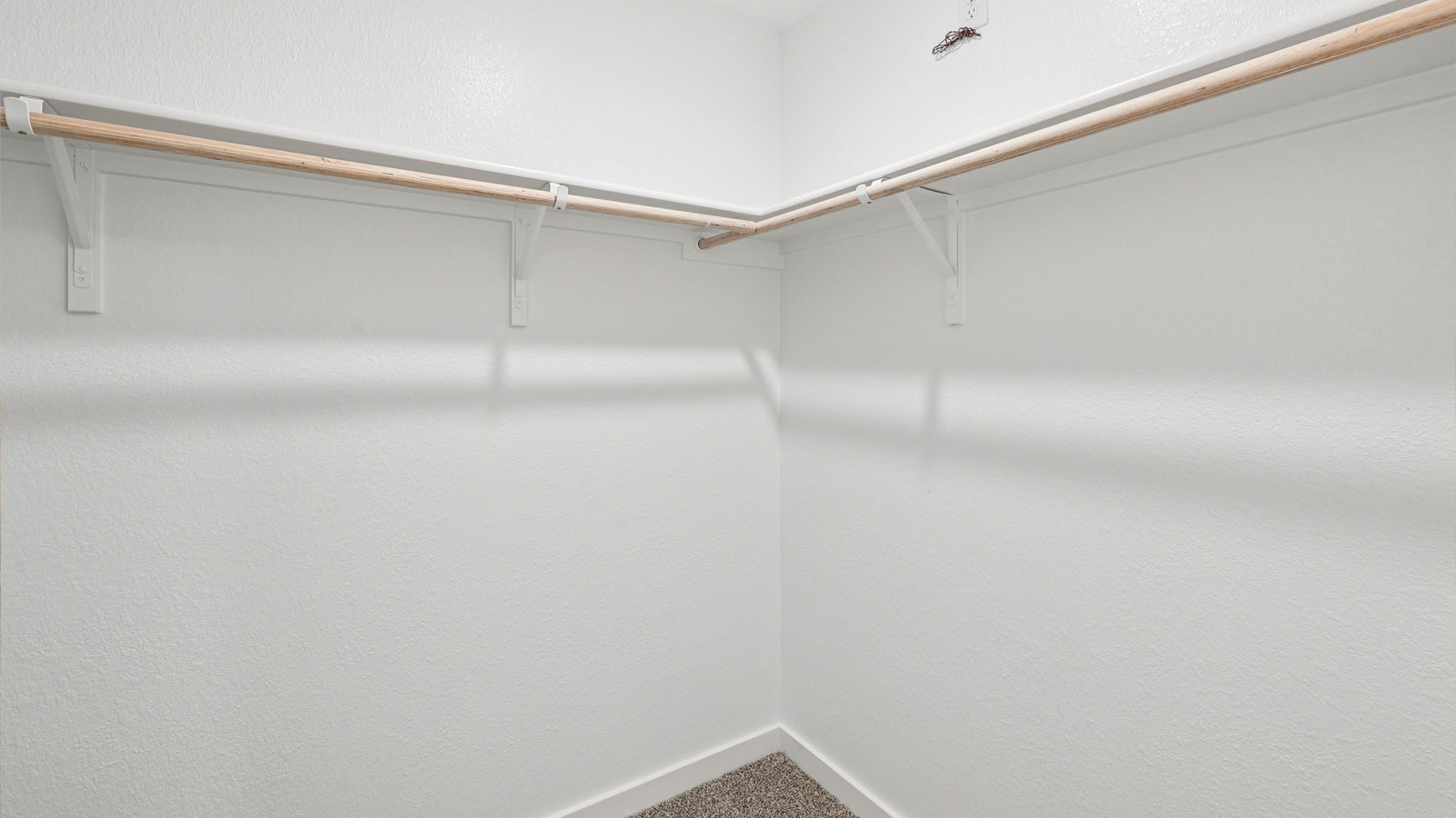 Walk-in closet in primary bathroom.