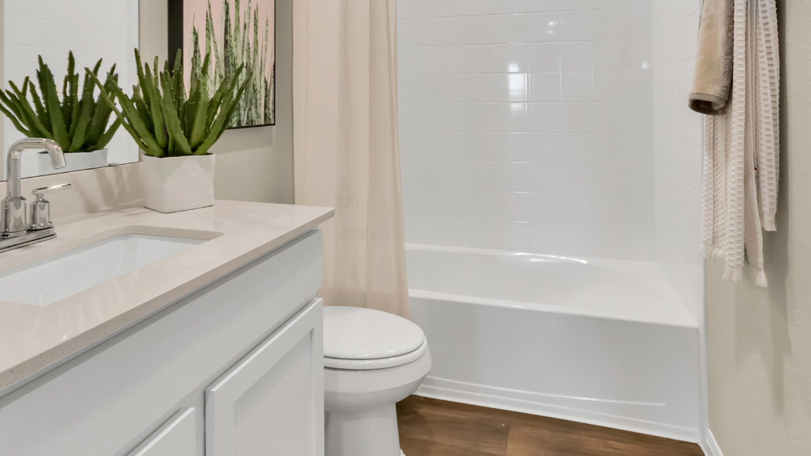 bathroom with a vanity sink, toilet and shower
